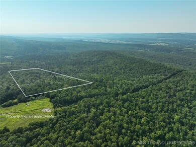 0 Hulsey Prairie unit 2524853, Panola, OK 74559 - photo 3