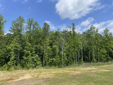 159 David Hill Dr, Buffalo Lake, NC 27330 - photo 4