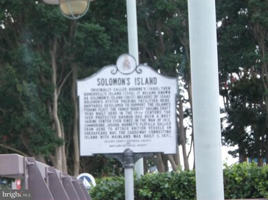 14386 Calvert St, Solomons, MD 20688 - photo 7