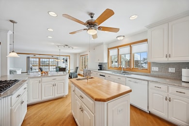 13773 Steeples Rd, Lemont, IL 60439 - photo 6