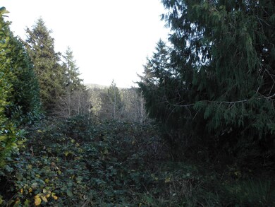 t/l 22200 SE Tide Ave, Lincoln City, OR 97367 - photo 3