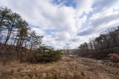 0 Harble Griffith Rd, Logan, OH 43138 - photo 5