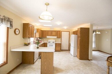 205 S Grant St, Galien, MI 49113 - photo 5