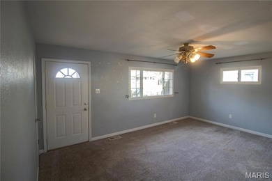 205 Williams St, Bethalto, IL 62010 - photo 5