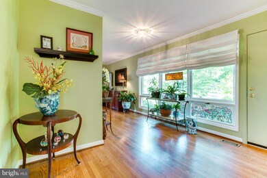 8914 Bridgehaven Ct, Alexandria, VA 22308 - photo 7