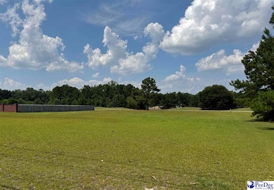 Lot 5 Southborough Rd, Darlington, SC 29532 - photo 2