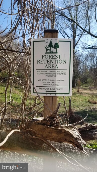 712 Carlough St, Hyattsville, MD 20785 - photo 5