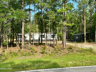 3966 Shell Landing Rd, Vernon, FL 32462 - photo 3