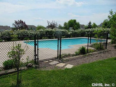 Pool In Ground