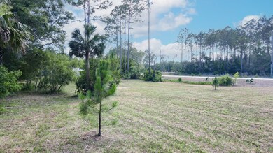 1351 Oak Pond Cir, Steinhatchee, FL 32359 - photo 3