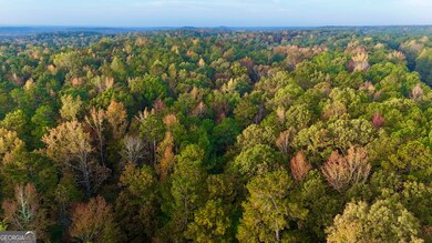 TRACT 2 Dennis Creek Rd, Talbotton, GA 31827 - photo 7