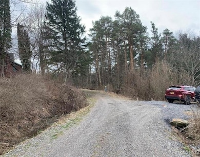 0 Off Morris Run Rt-41, Spafford, NY 13077 - photo 7