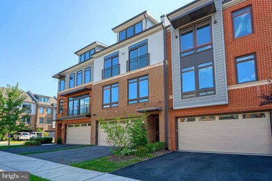 1802 Yellow Garnet Terrace SE, Leesburg, VA 20175 - photo 3