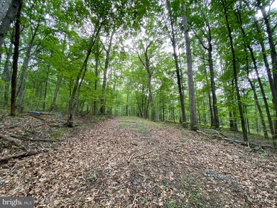Lot 3 Independence Ln, District 1, VA 22844 - photo 7