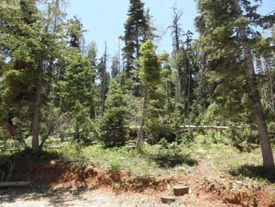 1045 W Big Horn Cir unit ZVME E-201, Duck Creek Village, UT 84762 - photo 6