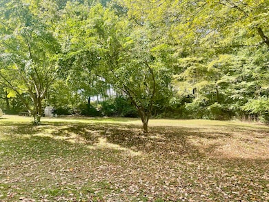 Extensive backyard with room for a barn and or a garage