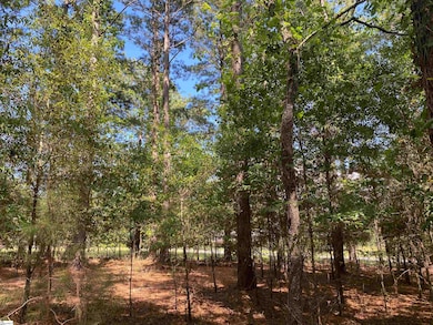 0 Sandy Springs Rd, Pelzer, SC 29669 - photo 2