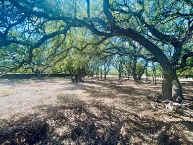 233 Towhead Valley Rd, Johnson City, TX 78636 - photo 4