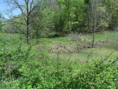 beaver hut