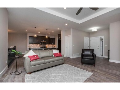 Great Room - tray ceiling