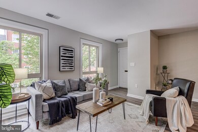 118 W Barre St, Baltimore, MD 21201 - photo 5