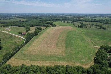 7370 Energy Rd, Ewing, KY 41039 - photo 3