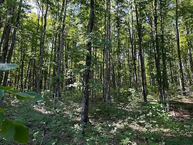 5383 N Conway Rd, Alanson, MI 49706 - photo 3