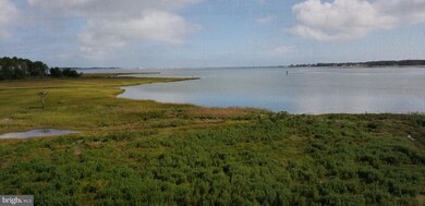 37191 Harbor Dr unit 3105, Ocean View, DE 19970 - photo 2