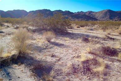 1234 El Rey Ave, Joshua Tree, CA 92252 - photo 5