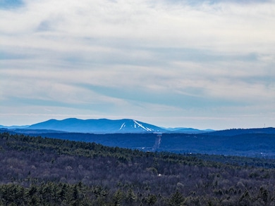 Pleasant Mount View