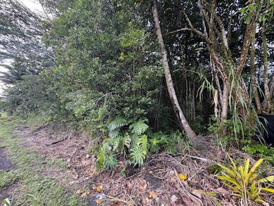 0 Kahakai Blvd unit 725669, Pahoa, HI 96778 - photo 6