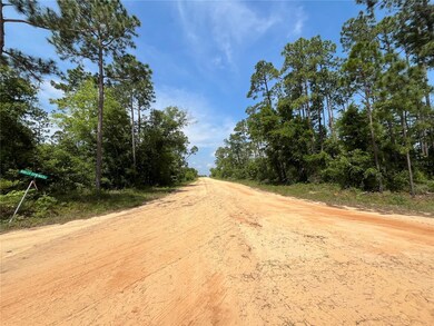 0 Holly Springs Ave unit MFROK225372, Alford, FL 32420 - photo 7