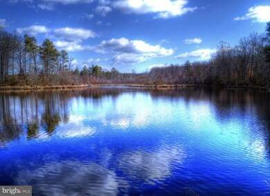 0 Unknown unit VACV123618, Ruther Glen, VA 22546 - photo 3