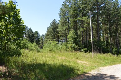 0 Mathis Cemetery Rd unit 2170336, Stewart, TN 37175 - photo 3