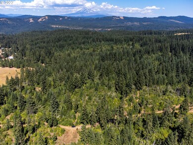 0 Coyote Song Ln unit 22276455, Snowden, WA 98672 - photo 6