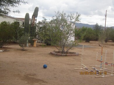 Yard Area