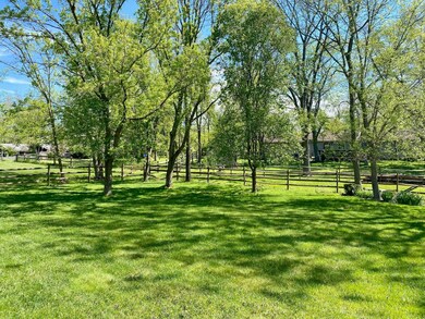 Mature trees within the fenced in yard.