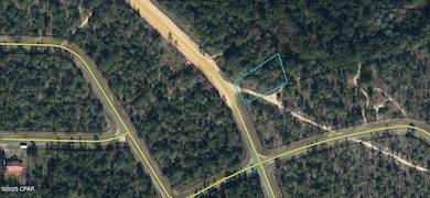 Lot 2 Unit 6 Blk 346 Hagar Ave, Chipley, FL 32428 - photo 2