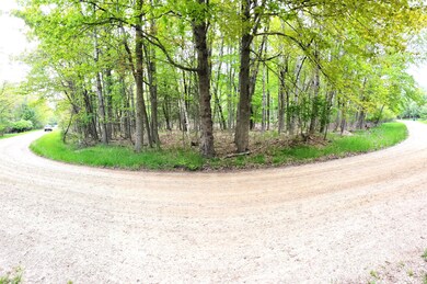 Panoramic