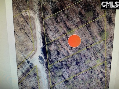 124a Lynch Ln, Chapin, SC 29036 - photo 2