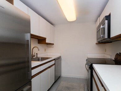 47 Harvard St unit A309, Charlestown, MA 02129 - photo 4