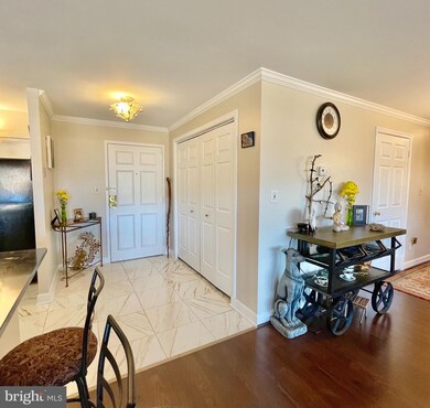 3 Southerly Ct unit 607, Towson, MD 21286 - photo 3
