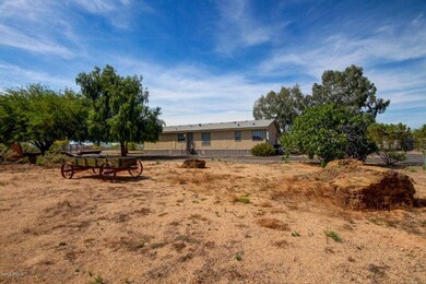 Joy Ranch (27)