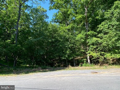 1114 Lakeview Dr, Cross Junction, VA 22625 - photo 7