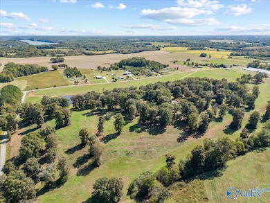 19660 Cox Rd, Athens, AL 35611 - photo 6