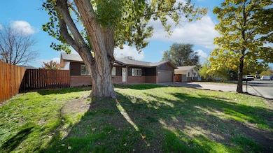 3013 1/2 Country Rd, Grand Junction, CO 81504 - photo 4