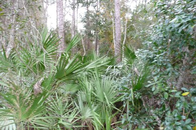 0 Old Deland Rd, Daytona Beach, FL 32124 - photo 5