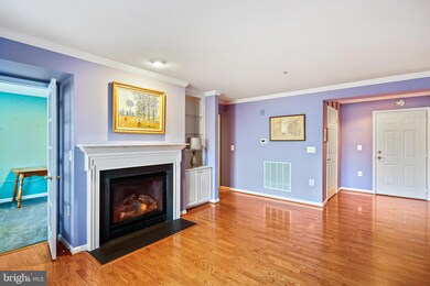 12011 Tralee Rd unit 404, Lutherville Timonium, MD 21093 - photo 4