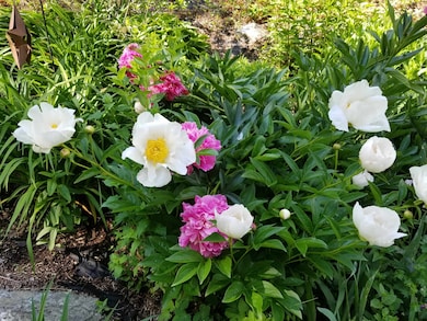 1452 Tyson Rd, Reading, VT 05062 - photo 5