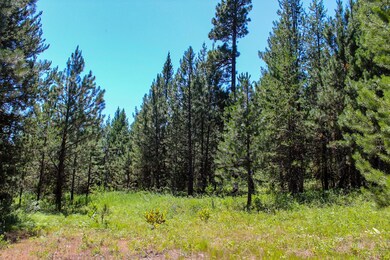 Nice Open Area